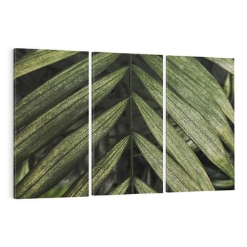 Obraz na płótnie 120x80 - W Liściach Ukryte - zdjęcie, fotografia