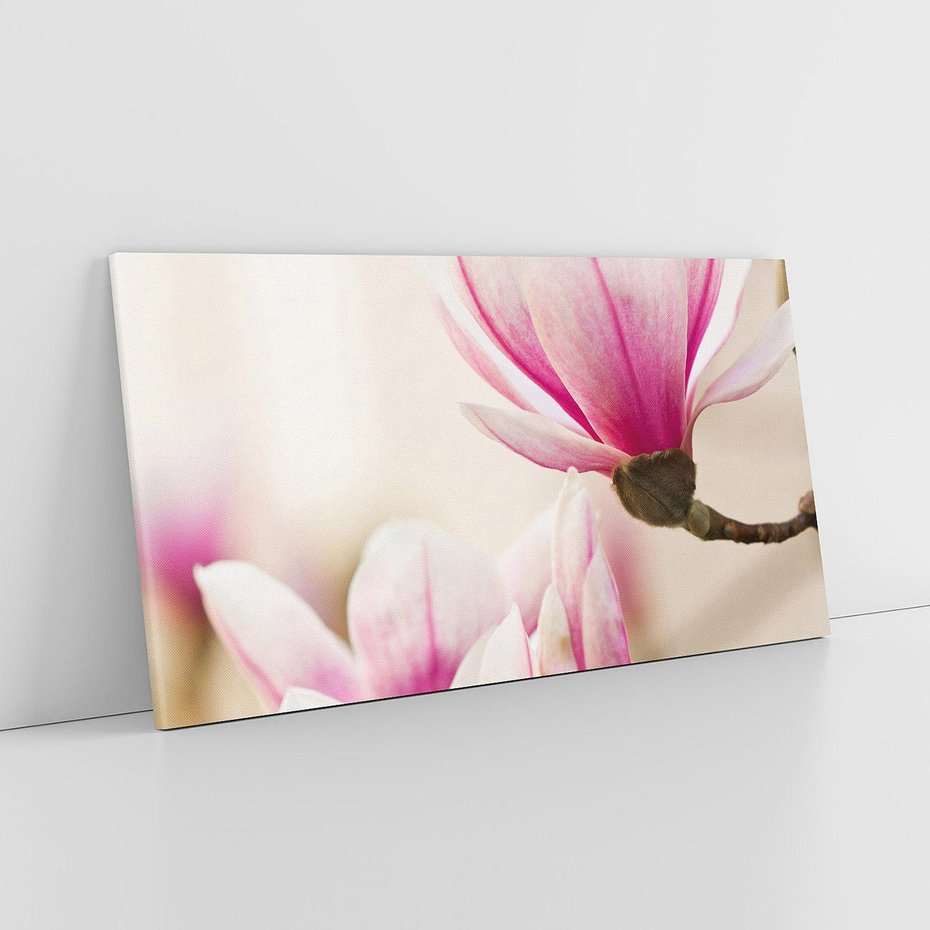 Obraz na płótnie 100x50 - Urok Magnolii - magnolie, kwiaty