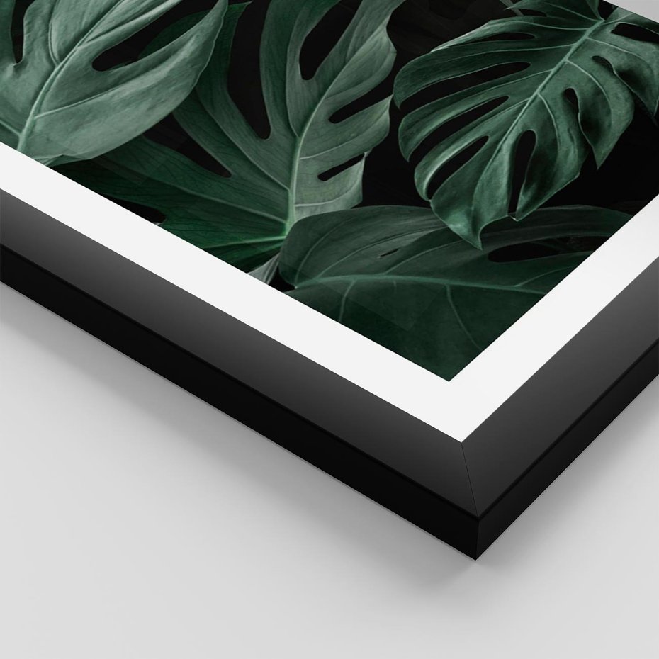Plakat w ramie 30x40 - Zielone Liście Monstery w Dżungli - zielone liście monstery, dżungla - rama czarna