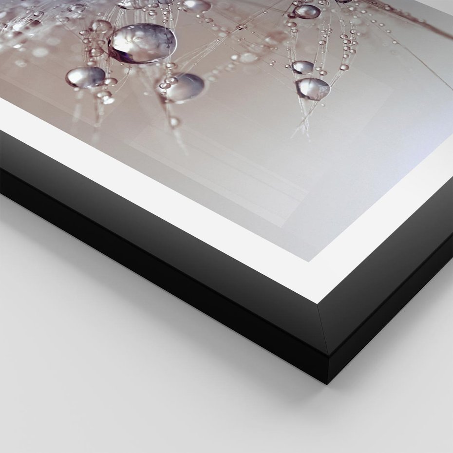 Plakat w ramie 50x70 - Delikatne Natchnienie - krople, dmuchawce - rama czarna