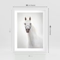 Plakat w ramie 30x40 - Elegancja białego konia - biały, koń - rama biała