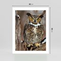 Plakat bez ramy 40x50 - Tajemniczy Stróż - sowa, las