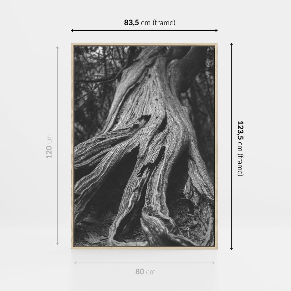 Obraz w ramie 80x120 - Siła Natury - czarno biała fotografia, korzenie wielkiego drzewa - rama drewno