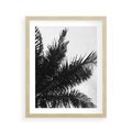 Plakat w ramie 40x50 - Czas Zapomnienia - palmy, czarno biała fotografia - rama drewno