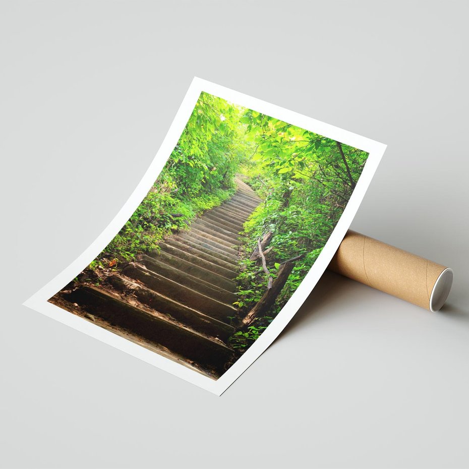 Plakat bez ramy 21x30 - Lasowa ścieżka pełna tajemnic - ścieżka, schody