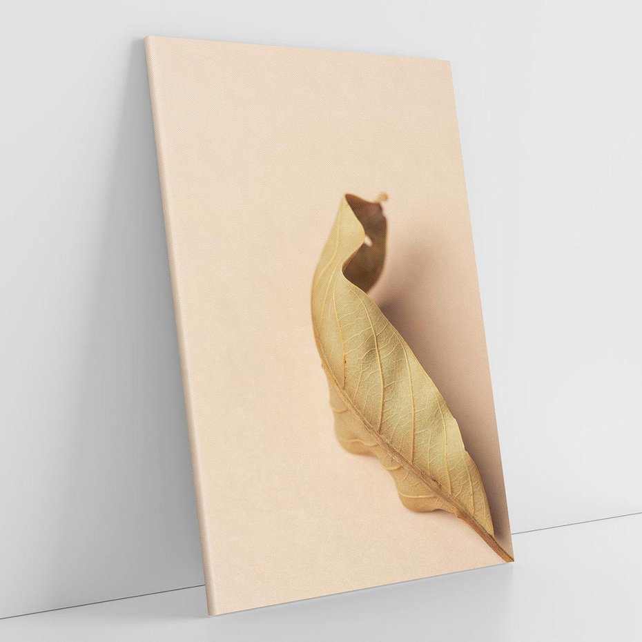 Obraz na płótnie 70x100 - Boho suszone liście - suszony, liść