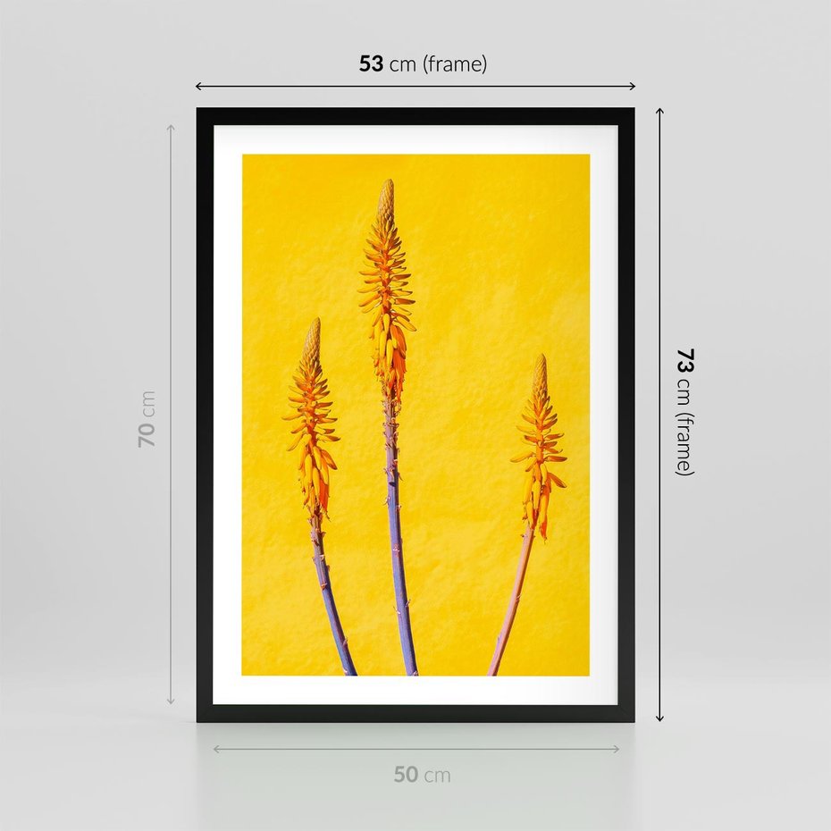 Plakat w ramie 50x70 - Radość Natury - kolor, kwiaty - rama czarna