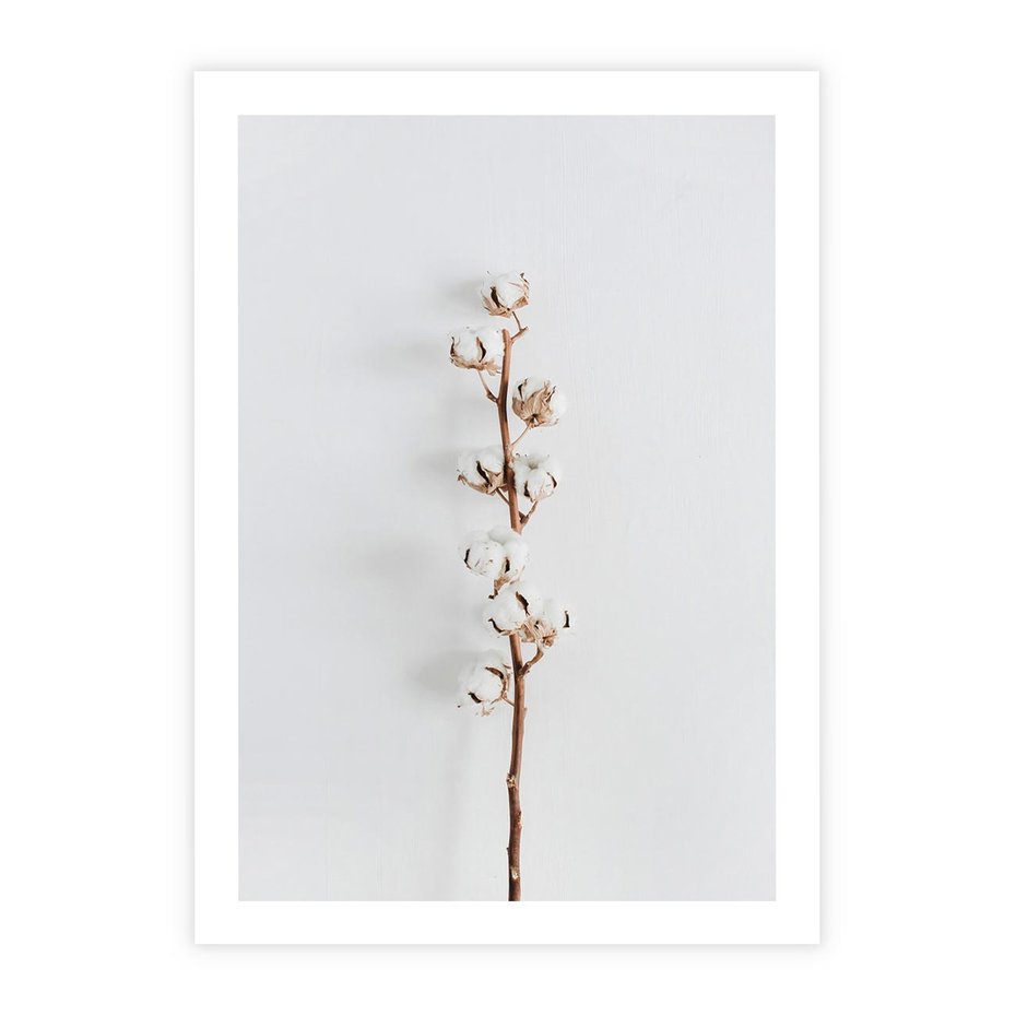Plakat bez ramy 30x40 - Minimalistyczna Gałązka Bawełny - bawełna, gałązka bawełny