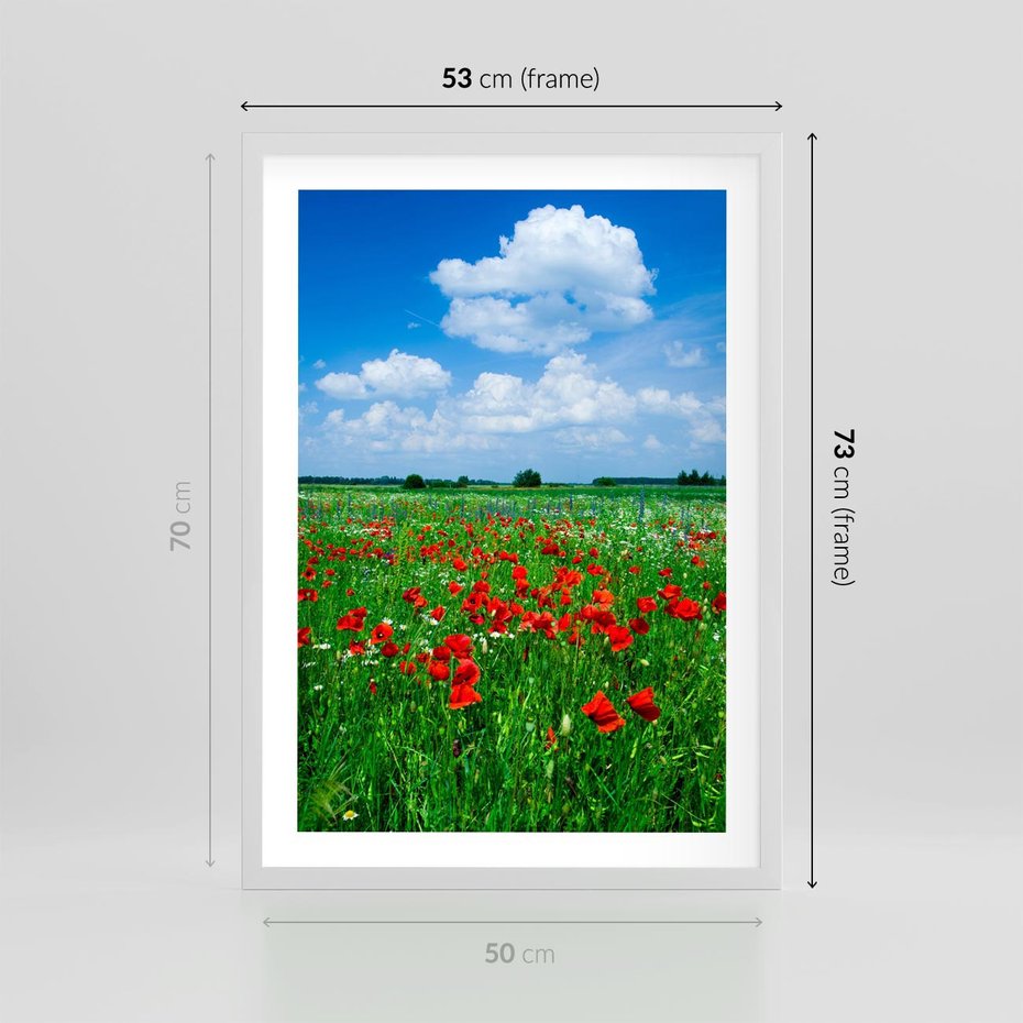 Plakat w ramie 50x70 - Kolorowa łąka pełna maku - łąka, maki - rama biała