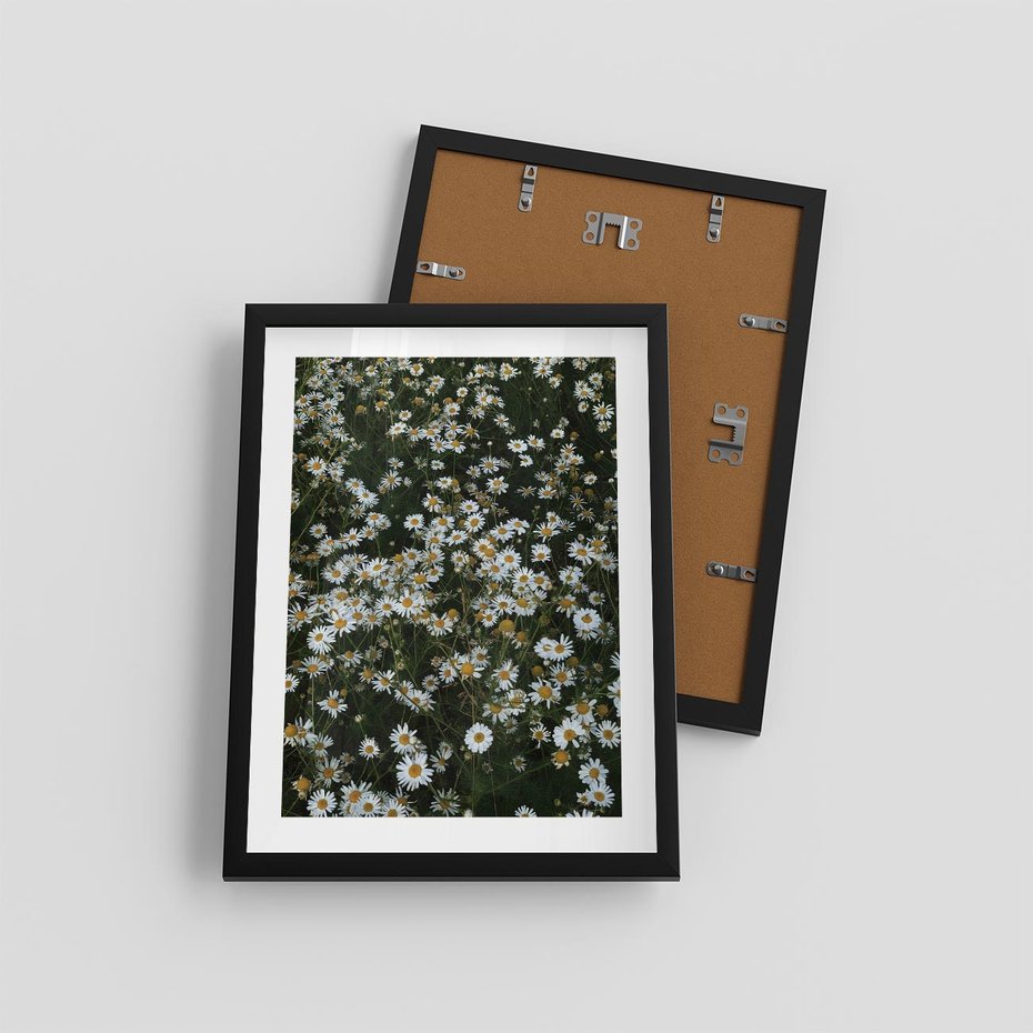 Plakat w ramie 30x40 - Stokrotkowa Idylla na Łące - łąka, stokrotki - rama czarna