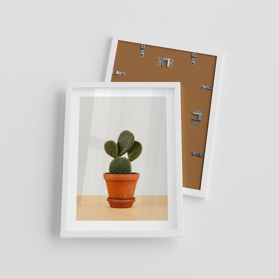 Plakat w ramie 30x40 - Kwiatowy taniec kaktusa - kaktus, kwiat - rama biała