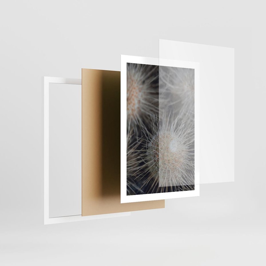 Plakat w ramie 50x70 - Ulotna Piękność Natury - makro, dmuchawce - rama biała