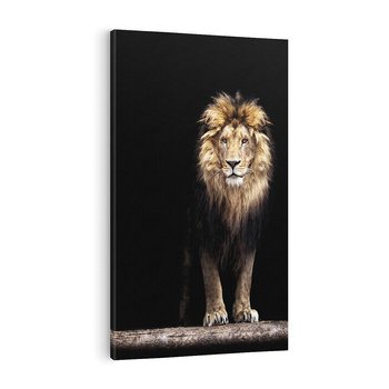 Obraz na płótnie 50x70 - Lew: dzikie piękno natury - lew, dzikie