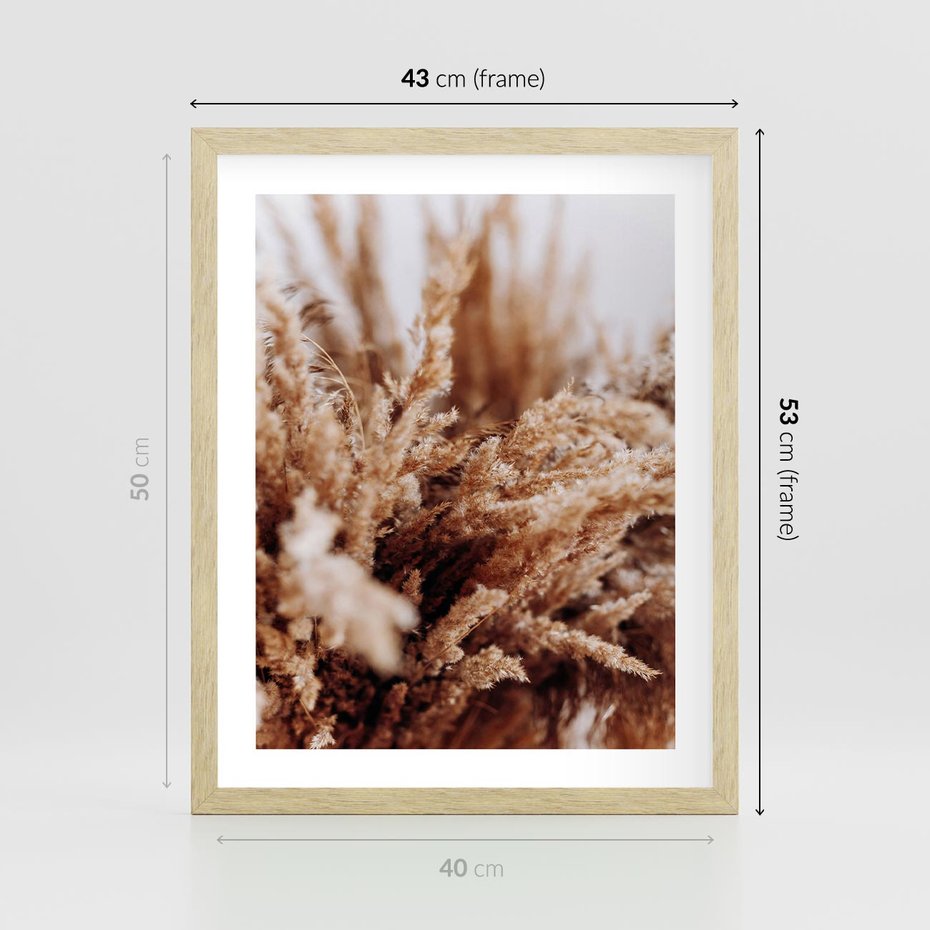 Plakat w ramie 40x50 - Sztuka Suszonych Traw - trawa pampas, suszone trawy - rama drewno