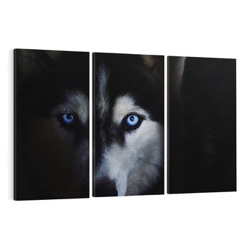 Obraz na płótnie 120x80 - Wilk i husky: siła przyjaźni - wilk, husky