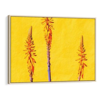 Obraz w ramie 100x70 - Radość Natury - kolor, kwiaty - rama drewno