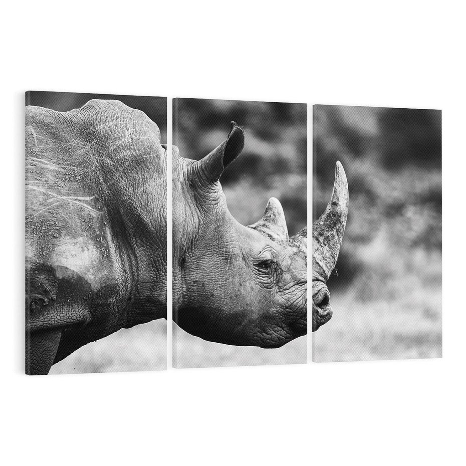 Obraz na płótnie 120x80 - Potęga Afryki - czarno biała fotografia, zbliżenie na postać nosorożca