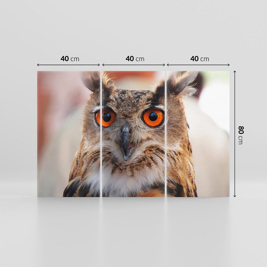 Obraz na płótnie 120x80 - Mądra sowa w locie - sowa, ptak