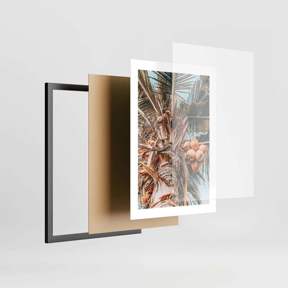Plakat w ramie 30x40 - Tropikalna Palma: Fotografia z Kokosami - palma kokosowa, kokosy - rama czarna