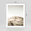 Plakat bez ramy 40x50 - Wzgórze w Odcieniach Sepii - wzgórze, trawy