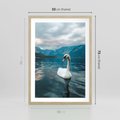 Plakat w ramie 50x70 - Łabędzi Śpiew - fotografia, plakat - rama drewno