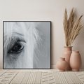 Obraz w ramie 50x50 - Oko Mocy - czarno białe zdjęcie, zbliżenie makro na oko konia - rama czarna