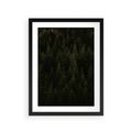 Plakat w ramie 30x40 - Ciemny las iglasty - las, iglasty - rama czarna