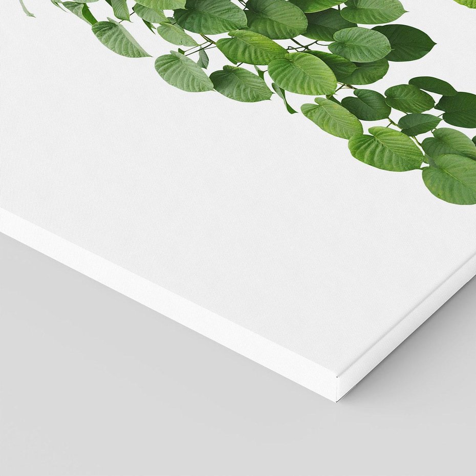 Obraz na płótnie 50x50 - Świeżość Natury - liście, zielone