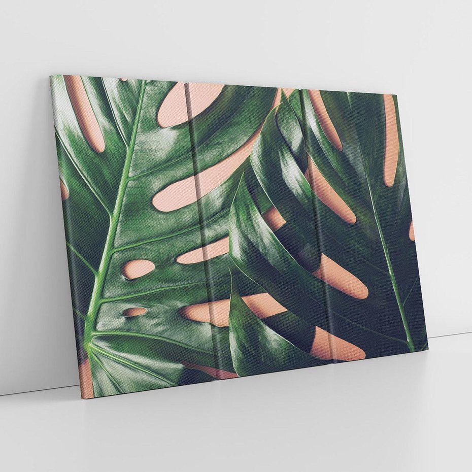 Obraz na płótnie 120x80 - Monstera Liście - monstera, liście