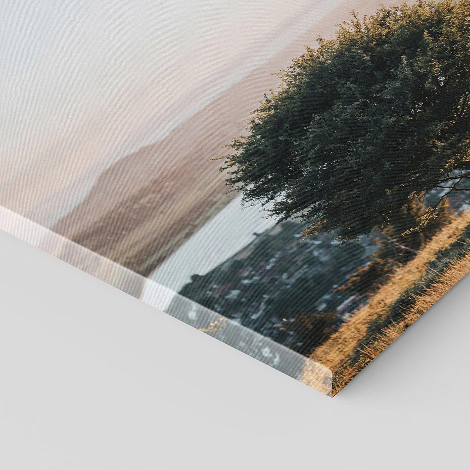 Obraz na płótnie 80x80 - Siła Natury - drzewo, pejzaż