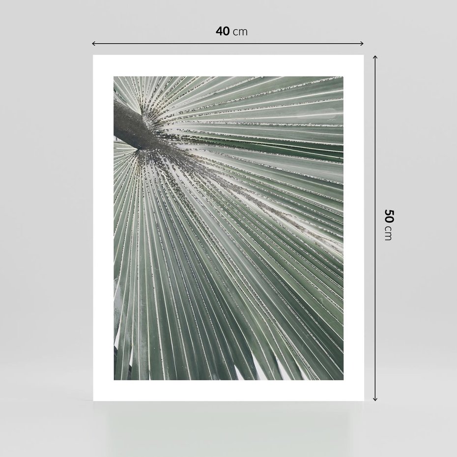 Plakat bez ramy 40x50 - Jasnozielony Świat - palma, liść