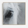 Obraz w ramie 50x50 - Oko Mocy - czarno białe zdjęcie, zbliżenie makro na oko konia - rama drewno