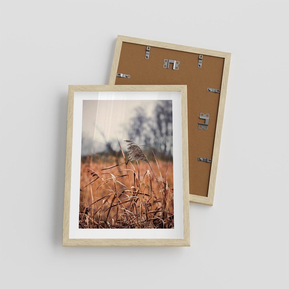 Plakat w ramie 30x40 - Jesienna Melancholia - suche trawy, jesień - rama drewno