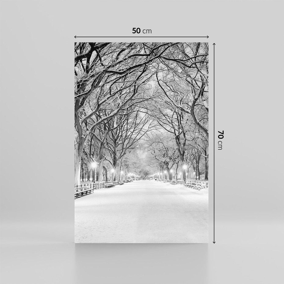 Obraz na płótnie 50x70 - cisza wśród drzew - zima, park