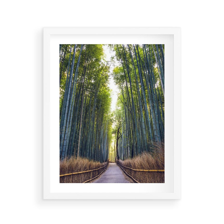 Plakat w ramie 40x50 - Urokliwa dróżka w lesie - las, dróżka - rama biała