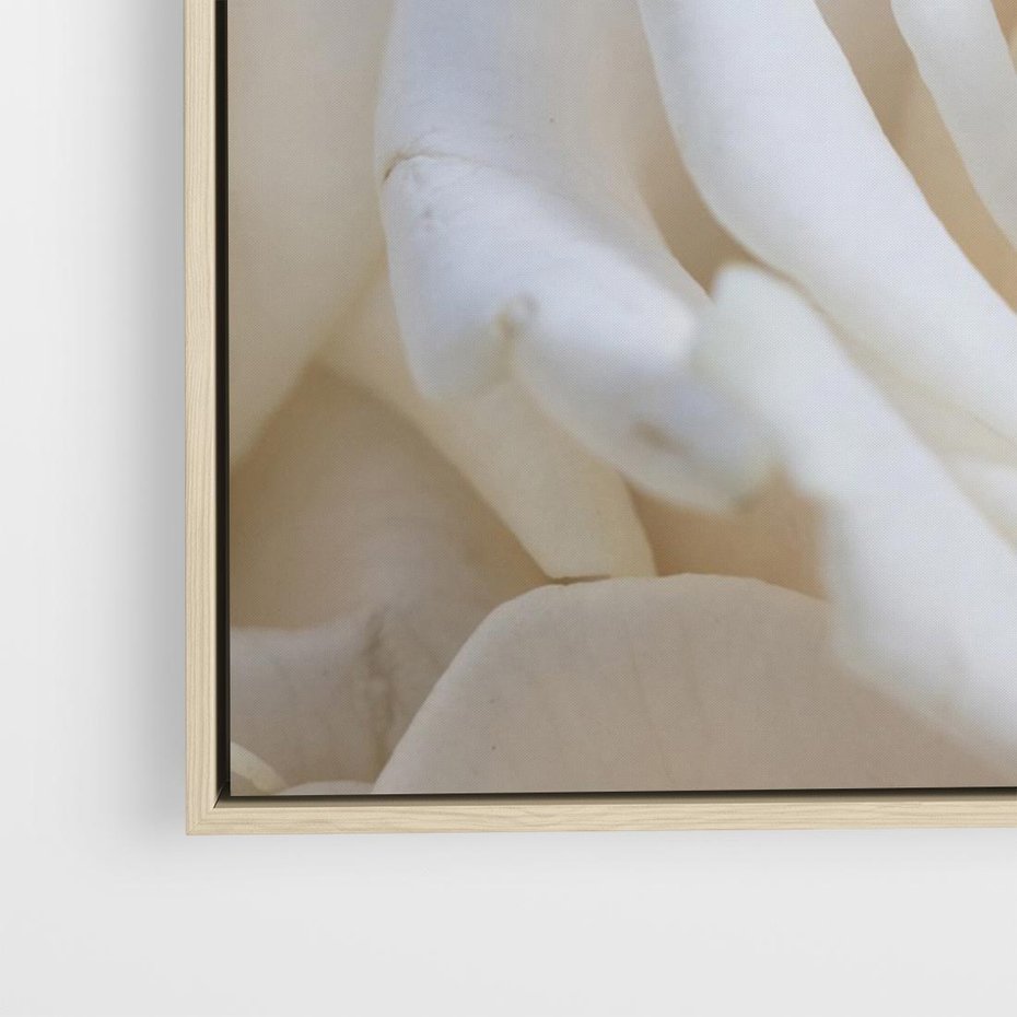 Obraz w ramie 100x70 - Białe róże piękności - białe, róże - rama drewno