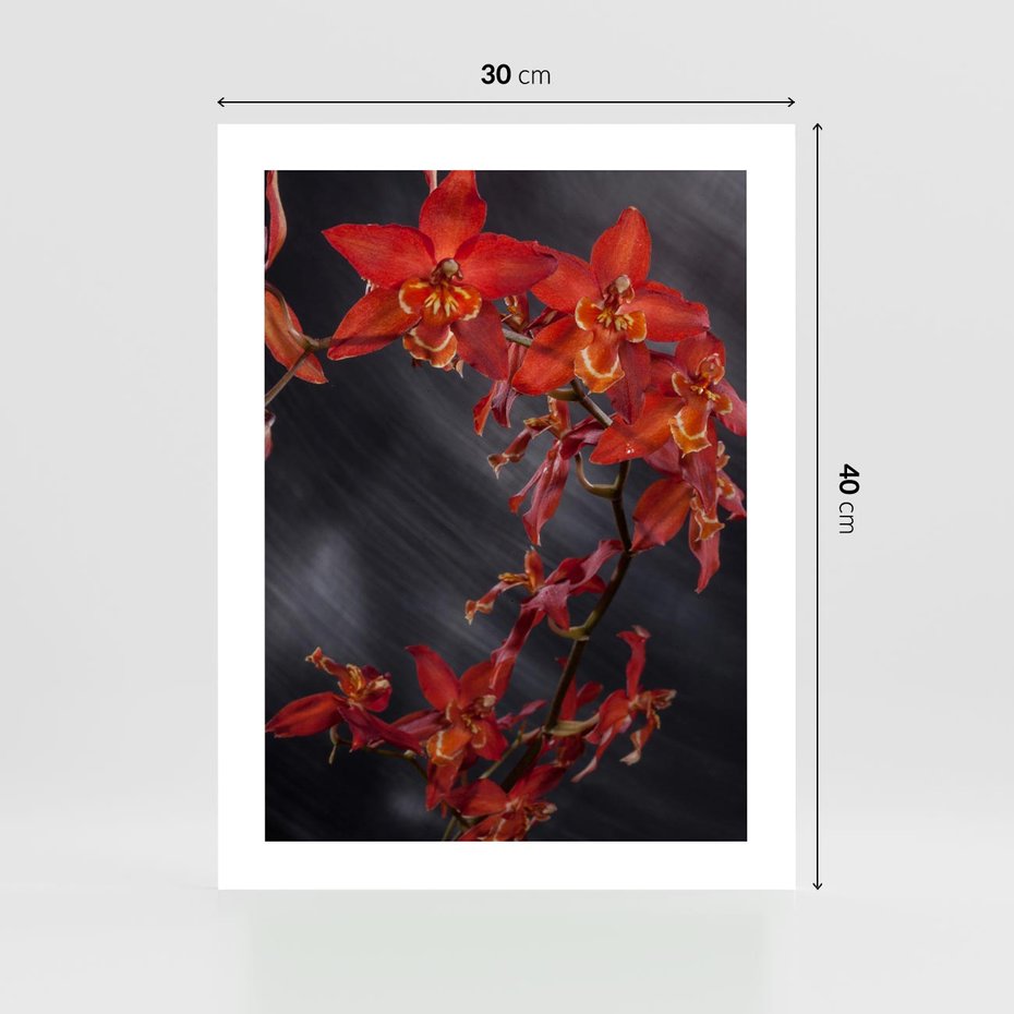 Plakat bez ramy 30x40 - Kolorowy Raj - kwiaty, tropikalne