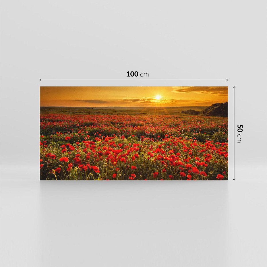 Obraz na płótnie 100x50 - Makowe uczucia - maki, kwiaty