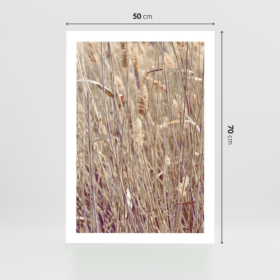 Plakat bez ramy 50x70 - Suche Trawy w Wyjątkowym Stylu - suche trawy, boho styl