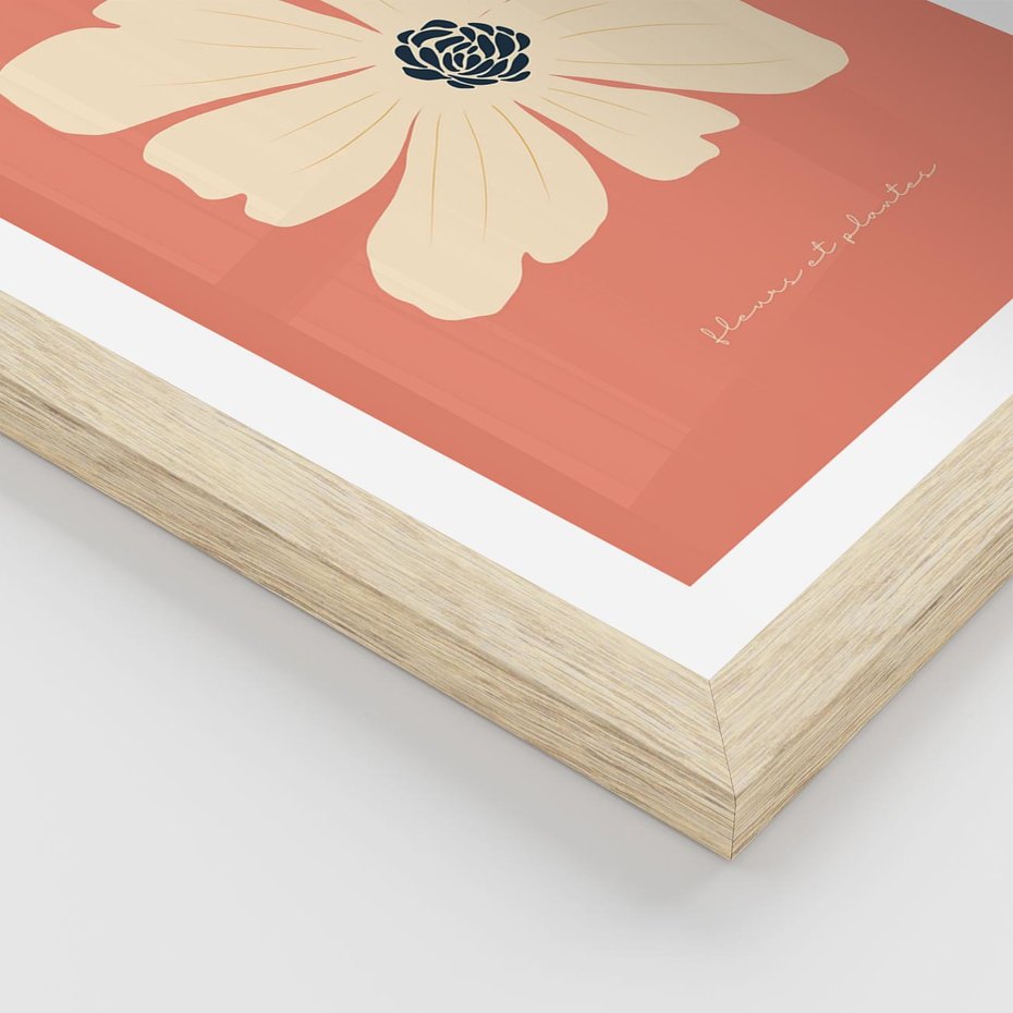 Plakat w ramie 50x70 - Malowane Kolorowe Echa - minimalistyczna grafika, biały kwiat na różowym tle - rama drewno