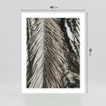 Plakat bez ramy 40x50 - Egzotyczne Gałęzie - suche gałęzie, liście palmy