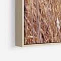 Obraz w ramie 80x120 - Mistrzowskie suche trawy - suche, trawy - rama drewno