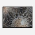Obraz w ramie 100x70 - Ulotna Piękność Natury - makro, dmuchawce - rama czarna