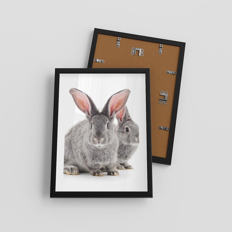 Plakat w ramie 30x40 - Uroczy królik wśród natury - królik, zając - rama czarna