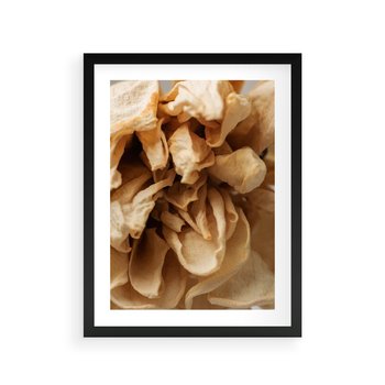Plakat w ramie 40x50 - Zjawiskowe zasuszone kwiaty - zasuszone, kwiaty - rama czarna