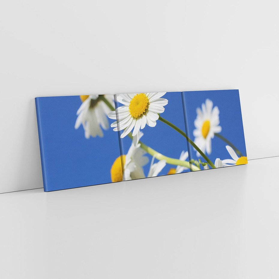 Obraz na płótnie 120x40 - Stokrotkowe pola - stokrotki, kwiaty