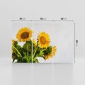 Obraz na płótnie 120x80 - Słoneczna Radość - fotografia, żółte słoneczniki
