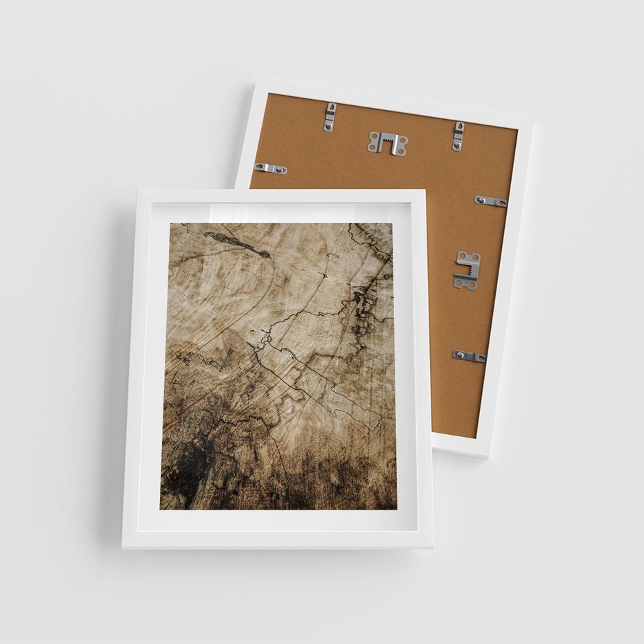 Plakat w ramie 40x50 - Słoje Natury - słoje drzewa, pieńdrzewa - rama biała