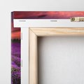 Obraz na płótnie 120x80 - Lawenda: polne zauroczenie - lawenda, kwiaty