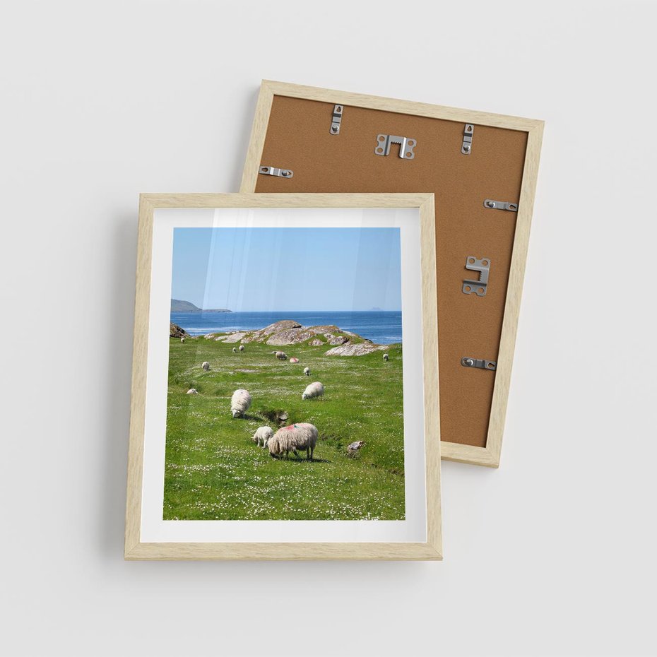 Plakat w ramie 40x50 - Górskie Owce - góry, owce - rama drewno
